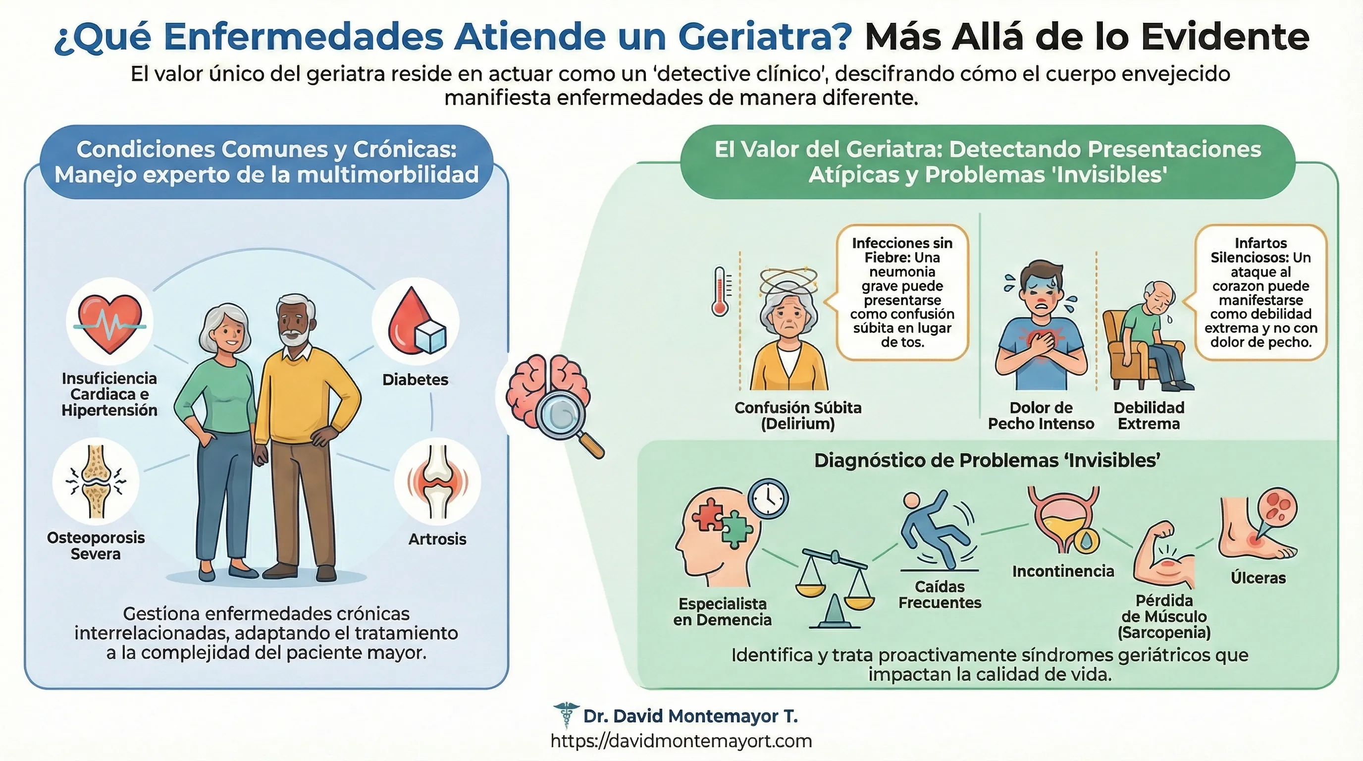 Infográfico: ¿Qué Enfermedades Atiende un Geriatra? Más Allá de lo Evidente. Ilustración dividida en dos secciones principales: 1) Condiciones Comunes y Crónicas (lado izquierdo en azul) mostrando el manejo experto de la multimorbilidad con ilustraciones de insuficiencia cardiaca e hipertensión, diabetes, osteoporosis severa y artrosis, destacando que gestiona enfermedades crónicas interrelacionadas adaptando el tratamiento a la complejidad del paciente mayor. 2) El Valor del Geriatra: Detectando Presentaciones Atípicas y Problemas 'Invisibles' (lado derecho en verde) mostrando ejemplos de presentaciones atípicas como infecciones sin fiebre manifestadas como confusión súbita (delirium), dolor de pecho intenso, debilidad extrema; y en la sección inferior el diagnóstico de problemas invisibles que incluye: especialista en demencia, caídas frecuentes, incontinencia, pérdida de músculo (sarcopenia) y úlceras, identificando y tratando proactivamente síndromes geriátricos que impactan la calidad de vida