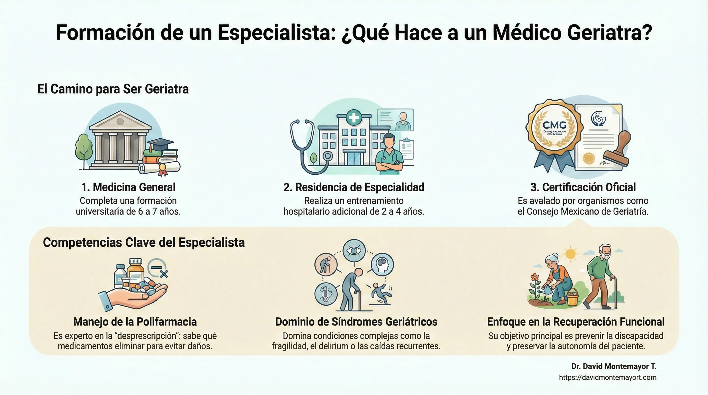 Infográfico: Formación de un Especialista - ¿Qué Hace a un Médico Geriatra? Ilustración que muestra el camino para ser geriatra en tres etapas: 1) Medicina General (formación universitaria de 6-7 años), 2) Residencia de Especialidad (entrenamiento hospitalario adicional de 2-4 años), 3) Certificación Oficial (avalado por el Consejo Mexicano de Geriatría). También presenta las competencias clave del especialista: Manejo de la Polifarmacia (experto en desprescripción para evitar daños), Dominio de Síndromes Geriátricos (fragilidad, delirium, caídas recurrentes), y Enfoque en la Recuperación Funcional (objetivo principal de prevenir discapacidad y preservar autonomía del paciente)